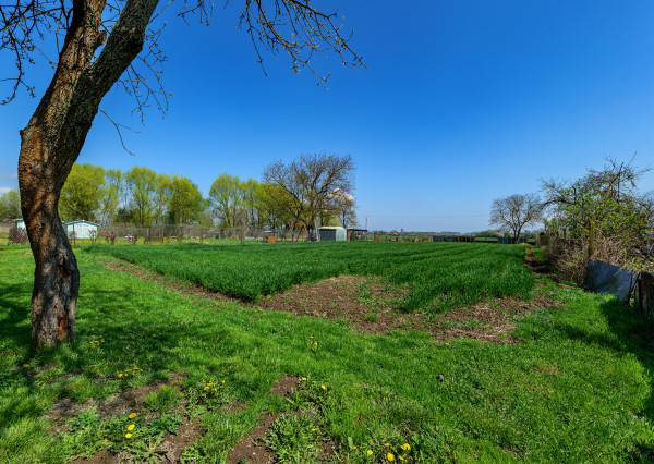 Na predaj rodinný dom s veľkým pozemkom | Komárovce